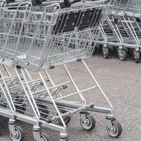 Shopping Cart Casters